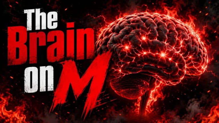 The Brain on M: How MDMA Works Its Magic (and Why It Fades)