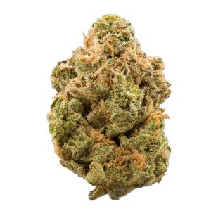 Apple Fritter - Hybrid