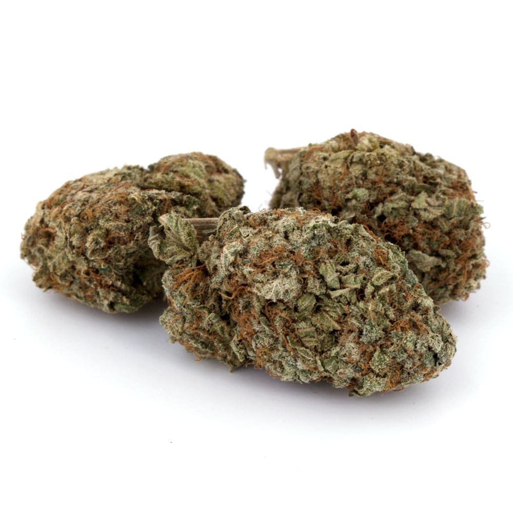 God’s Green Crack - Indica